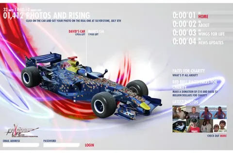 Red Bull - Faces for Charity