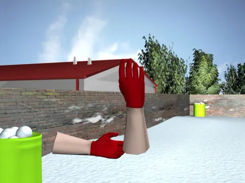 Virtual Snowball 2